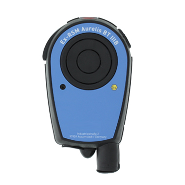 ex_rsm_aurelis_bt-grid